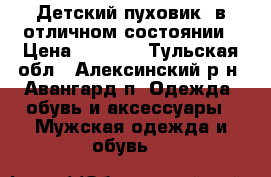 Детский пуховик  в отличном состоянии › Цена ­ 4 000 - Тульская обл., Алексинский р-н, Авангард п. Одежда, обувь и аксессуары » Мужская одежда и обувь   